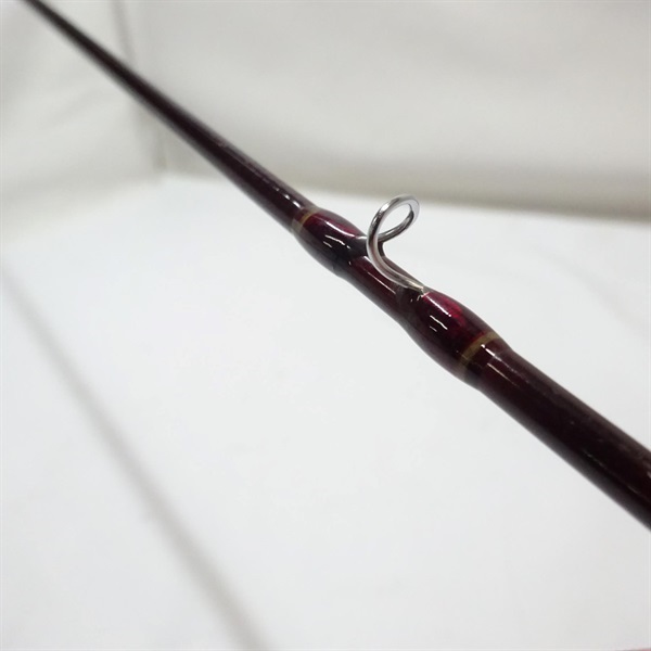 スーパーパルサーＺ３０ＴＣＦＺ－８０４０Ｔ